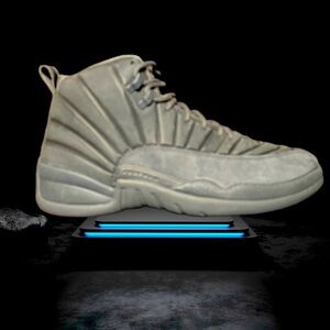 JORDAN PSN 12s Sprcial Edition. Brand new. Never worn